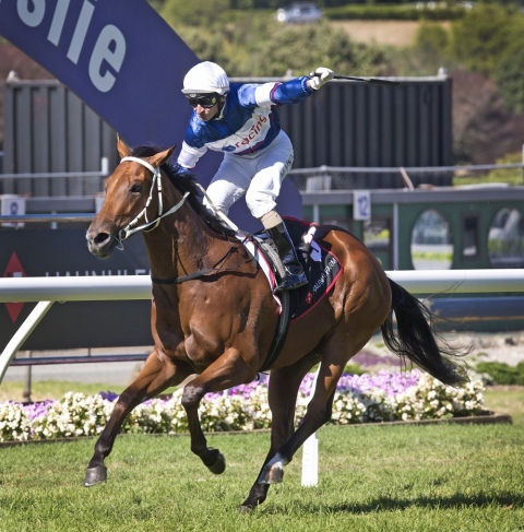 State Of The Art Medical and Surgical Approaches To Produce That Winning Edge - The Waikato Veterinary Equine Centre